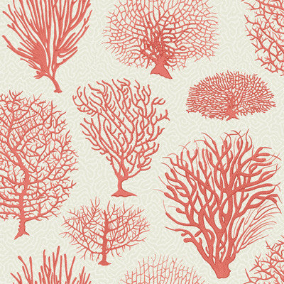 Cole & Son Wallpaper Seafern Coral