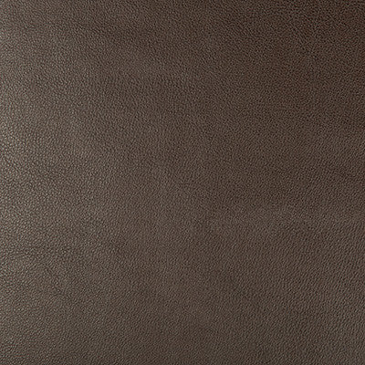 Kravet Fabric Dust-66