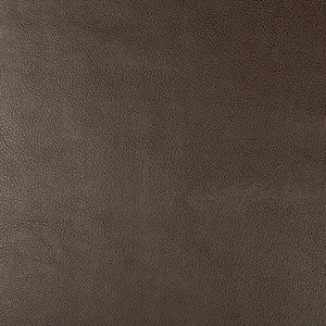 Kravet Fabric Dust-66