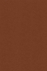 Kravet Fabric Desire-6
