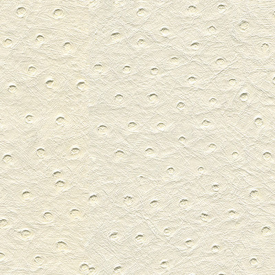 Kravet Fabric Senna-101
