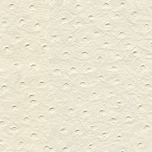 Kravet Fabric Senna-101