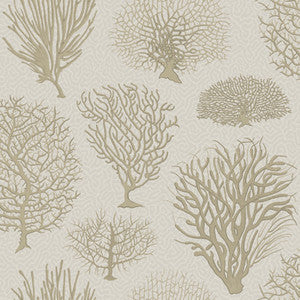 Cole & Son Wallpaper Seafern Stone