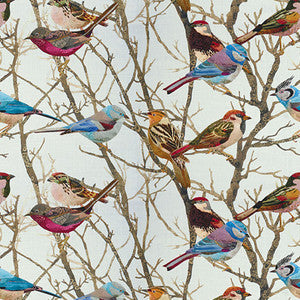 Kravet Fabric Sparrows2-916