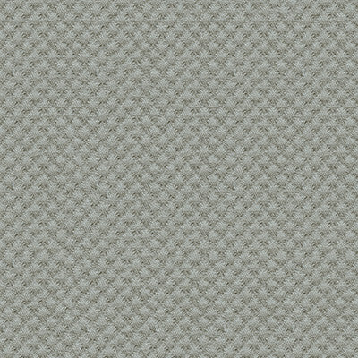 Kravet Fabric 25807-1121