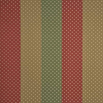 G P & J Baker Fabric Mirabel Stripe Red/Brn