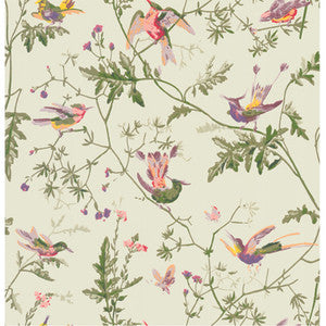 Cole & Son Wallpaper Hummingbirds Green Multi-Colour
