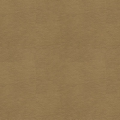 Kravet Fabric Alina-106