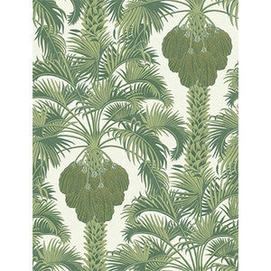 Cole & Son Wallpaper Hollywood Palm Leaf Green