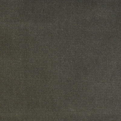 Kravet Fabric Versailles-E205180