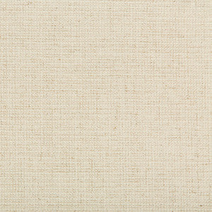 Kravet Fabric 35395-116