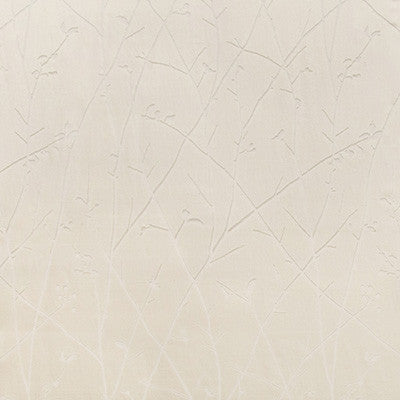 Kravet Fabric Ramus Ivory