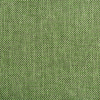 Kravet Fabric 34926-323