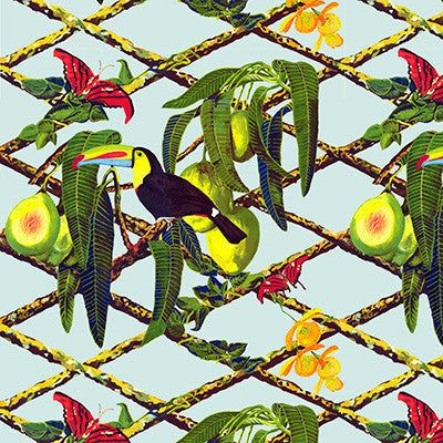 Gaston Y Daniela Wallpaper Tucan Original