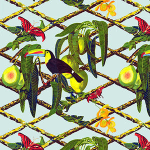 Gaston Y Daniela Wallpaper Tucan Original