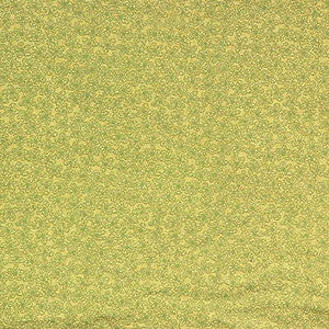 Kravet Fabric 24301-3
