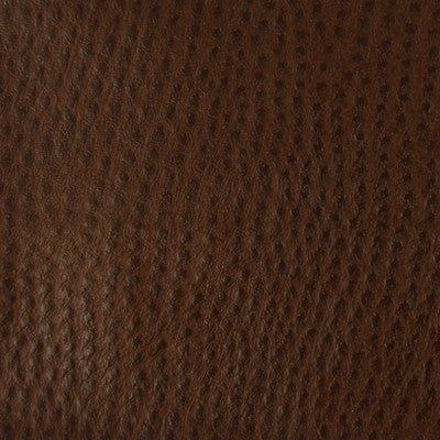 Kravet Fabric Belus-6