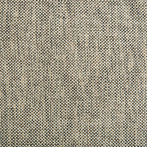 Kravet Fabric 4458-816