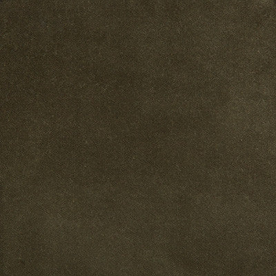 Kravet Fabric 35366-2111