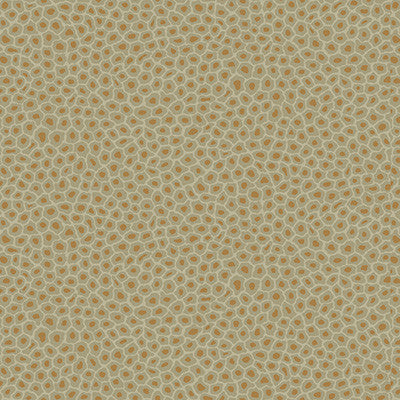 Cole & Son Wallpaper Senzo Spot Olive