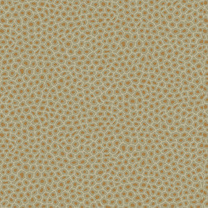 Cole & Son Wallpaper Senzo Spot Olive
