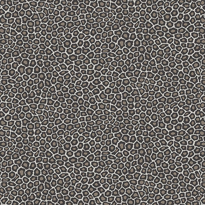 Cole & Son Wallpaper Senzo Spot Black & White