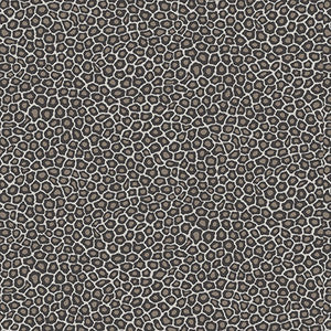 Cole & Son Wallpaper Senzo Spot Black & White