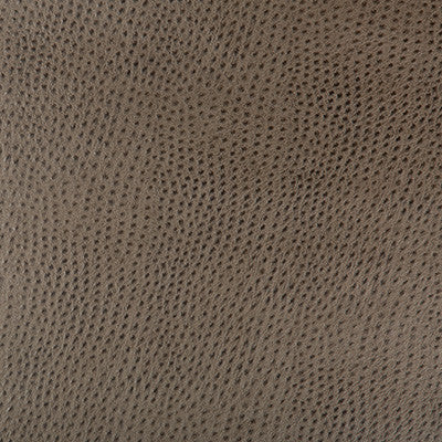 Kravet Fabric Hubble-106