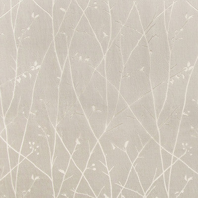 Kravet Fabric Ramus Silver