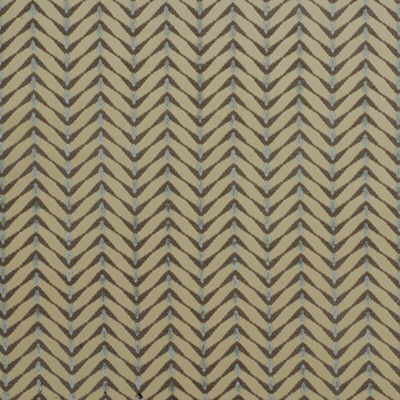 Lee Jofa Modern Fabric Zebrano Beige/Aqua