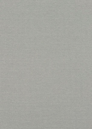 Baker Lifestyle Fabric Lansdowne Silver