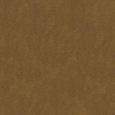 Kravet Fabric Balara-616
