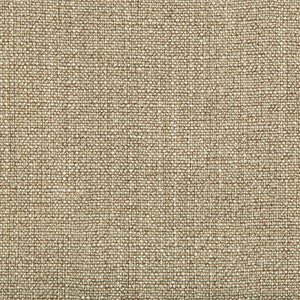 Kravet Fabric 35189-106