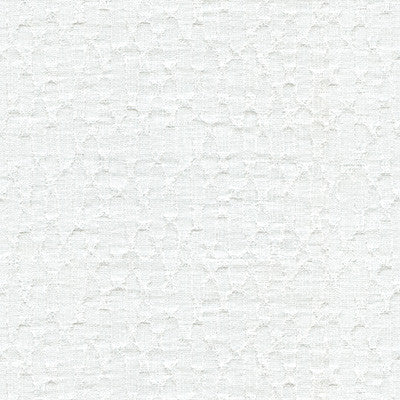 Kravet Fabric 4530-101