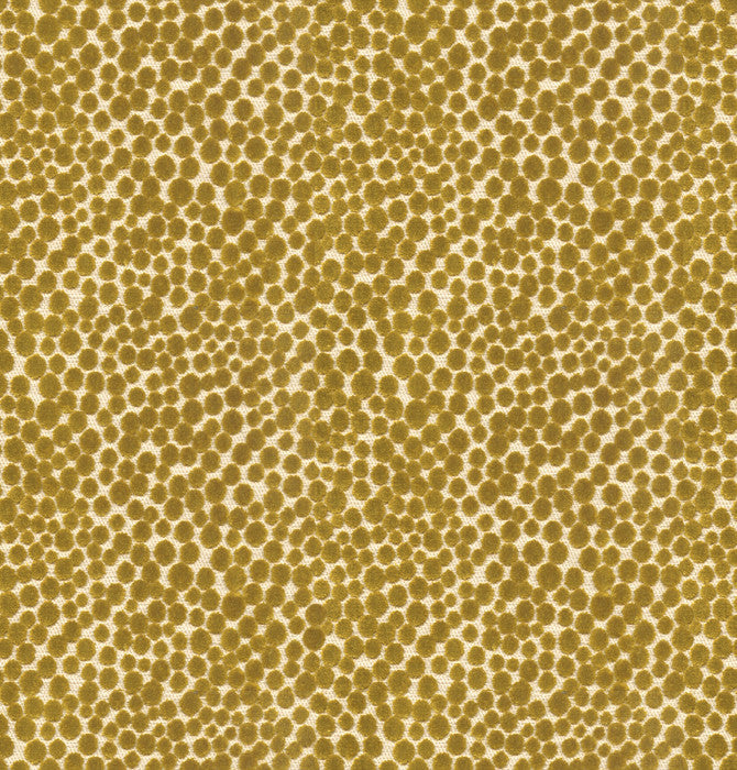 Baker Lifestyle Fabric Lembury Lime