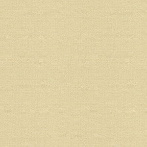 Kravet Fabric 4113-16