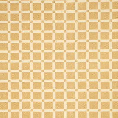 G P & J Baker Fabric Picnic Check Gold