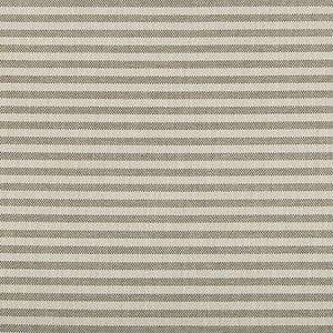 Lee Jofa Modern Fabric Rayas Stripe Fossil