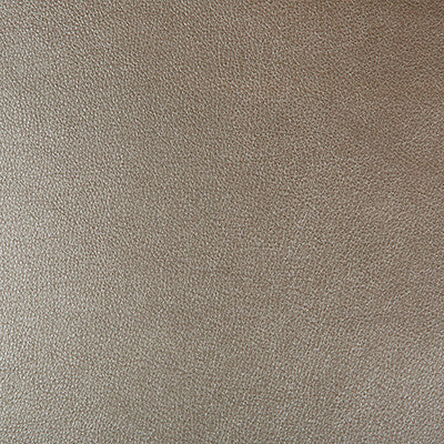 Kravet Fabric Azeri-106