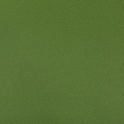 Kravet Fabric Syrus Bonsai