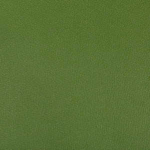 Kravet Fabric Syrus Bonsai