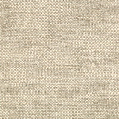 Kravet Fabric 34623-1116