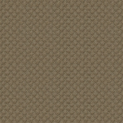 Kravet Fabric 25807-106