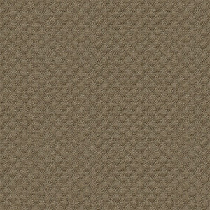 Kravet Fabric 25807-106