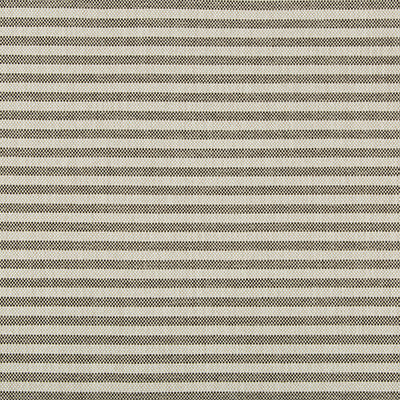Groundworks Fabric Rayas Stripe Soot