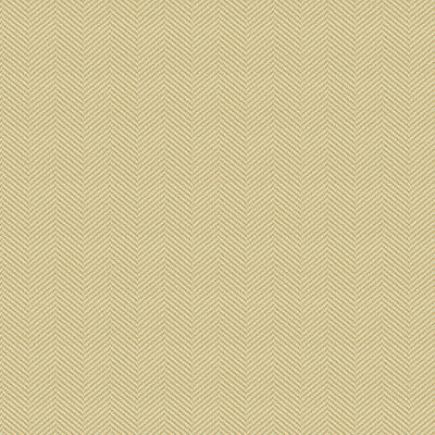 Kravet Fabric 34234-116