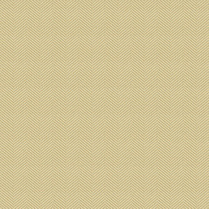 Kravet Fabric 34234-116