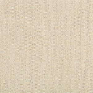 Kravet Fabric 35407-111