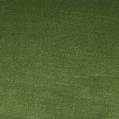 Kravet Fabric Versailles-E263200