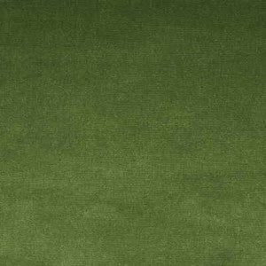 Kravet Fabric Versailles-E263200